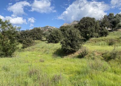 Montagne de Lumio au printemps